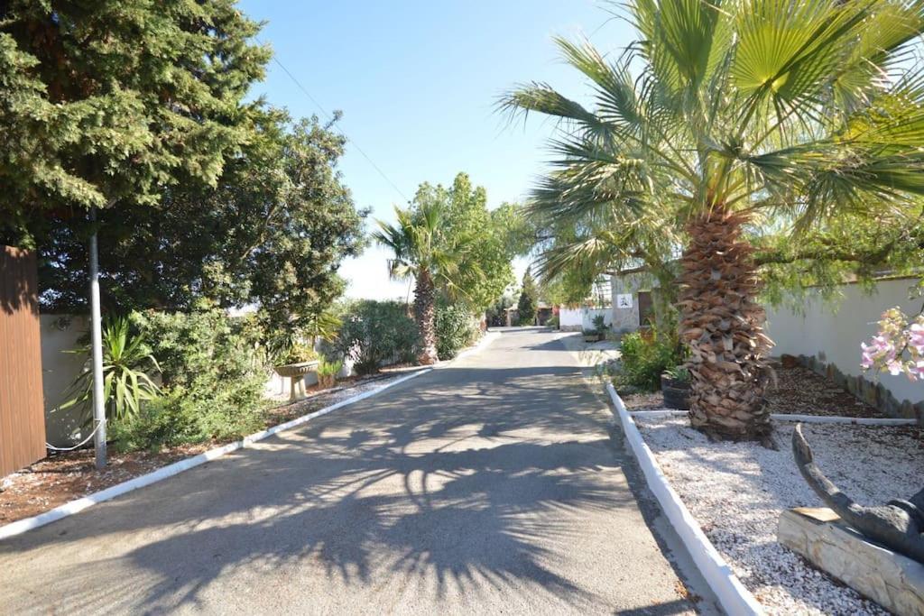فيلا Casas Paqui Y Pablo Con Piscina Compartida En Conil كونيل ذي لا فرونتيرا المظهر الخارجي الصورة